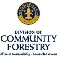 EcoReps Lunch & Learn: Urban Forestry with Erin Thompson