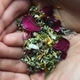 Workshop: Cultivating Healthy Skin