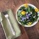Workshop: Foraging for Food and Medicine