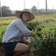 Workshop: Cultivating Medicinal Herbs