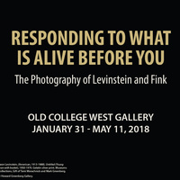 Responding to What is Alive Before You: The Photography of Levinstein and Fink