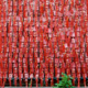 Search for Meaning: Return of Religion and Spirituality in China