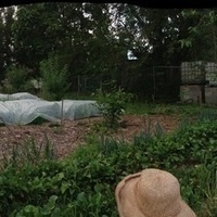 Sustainability Roundtable: Urban Farming & Orchards on Vacant Lots