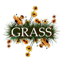 GRASS Recruitment Event