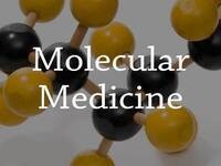 Molecular Medicine Seminar