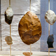Free Tour Fridays for CU Students!