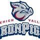 Alumni Night at the IronPigs