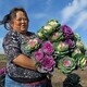 Artist Talk: Mike Hazard, Seeds of Change and the Hmong American Farmers Association