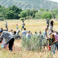 Gilchrist Farm Egg Hunt & Spring Fling