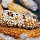 Decolonize Your Diet: Dinner and Discussion