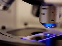 Drug Discovery Networking Event