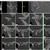 Are You Ready to Integrate CBCT Into Your Practice?