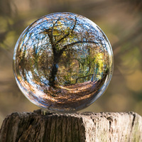 Environmental and Engineering Careers