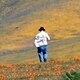 DAY OF PLAY: East Bay Wildflower Hike at Mt. Diablo!
