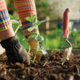 Wellness Week: Escape from March Madness