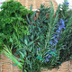 Earth Day Garden Party
