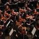 Chamber Orchestra