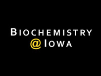 Biochemistry Workshop: Lalita Oonthonpan