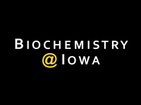 Biochemistry Seminar: Dr. Vincenzo Venditti