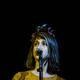 Sapir Rosenblatt, Voice | Spring'18 Ensemble & Recital Series | School of Jazz