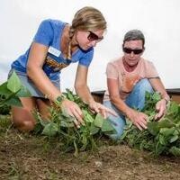 Sustainability Roundtable: Community Gardens in Louisville