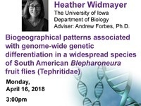 Biogeographical Patterns Associated with Genome-Wide Genetic Differentiation in a Widespread Species of South American Blepharoneurafruit flies (Tephritidae)