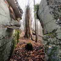 Volunteer for Worlds End Day