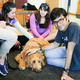 Bark Buddies at Earth Sciences & Map Library
