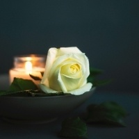 Phoenix Children's Spring Remembrance Service