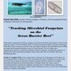 The Department of Science & Technology Seminar Series