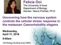 Uncovering How the Nervous System Controls the Cellular Stress Response in the Metazoan Caenorhabditis Elegans