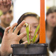 2018 STEM Institute