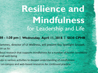 Resilience and Mindfulness for Leadership and Life