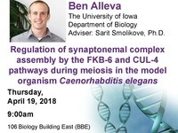 Regulation of synaptonemalcomplex assembly by the FKB-6 and CUL-4 pathways during meiosis in the model organism Caenorhabditis elegans