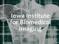 Iowa Institute for Biomedical Research