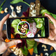 Covering Food: A Conversation With Food Media Professionals