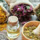 Managing Stress & Anxiety During Finals: Adaptogenics Workshop with Herbalist Brigitte Mars