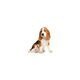 Dog Sees God: Confessions of a Teenage Blockhead: A play by Bert V. Royal