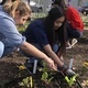 “Living Poster” Exhibit In the Robb Garden!