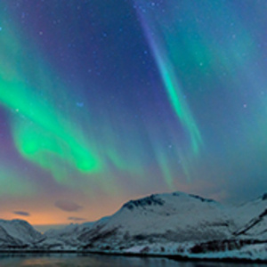 A Celebration of Lights