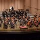 Greater Boulder Youth Orchestras