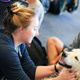 Bark Buddies at the Music Library