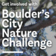 Learn about Boulder's City Nature Challenge!