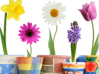 Make and Take: Grow Your Own Flower