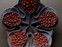 Hsin-Yi Huang & Kings Silk Art