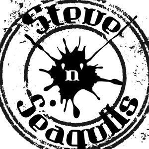 Steve 'n' Seagulls