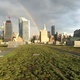 The State of Green Roofs in New York City