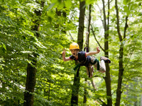 Zipline Zipline