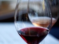 Willamette Valley Wine Tasting Tour
