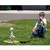 Science Explorers: Grades 1-2
